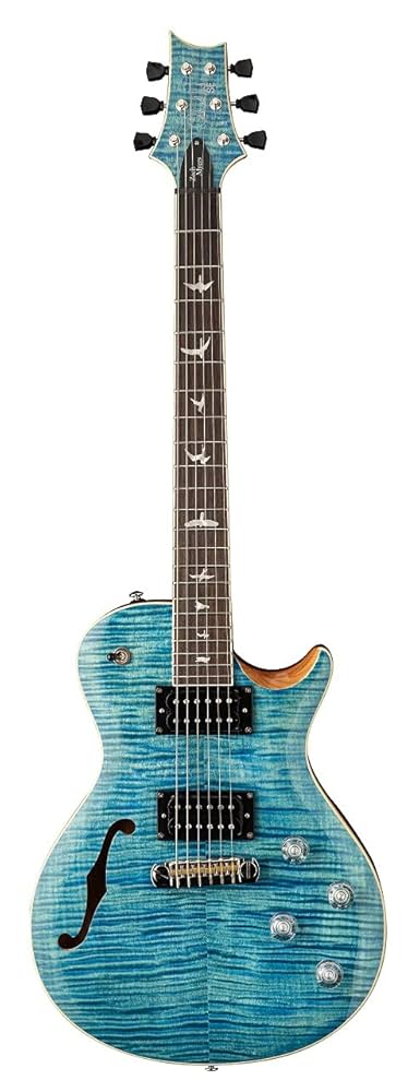 ギター PRS SE Zach Myers PRS Guitars SE Zach Myers Electric Guitar with Gig Bag